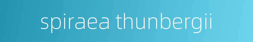 spiraea thunbergii的同义词