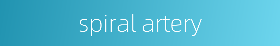 spiral artery的同义词