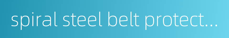 spiral steel belt protective sleeve的同义词