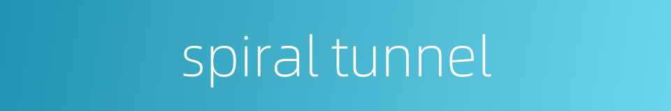 spiral tunnel的同义词