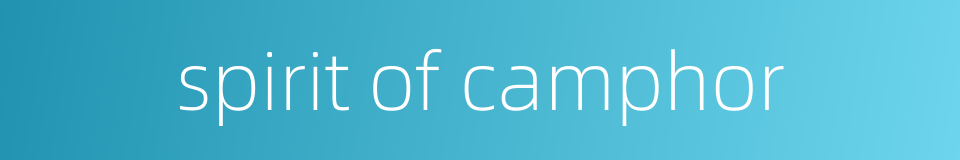 spirit of camphor的同义词