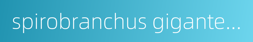 spirobranchus giganteus的同义词