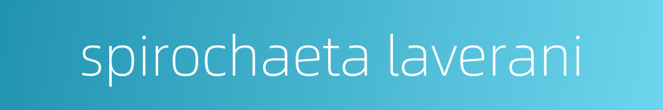 spirochaeta laverani的同义词