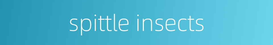 spittle insects的同义词