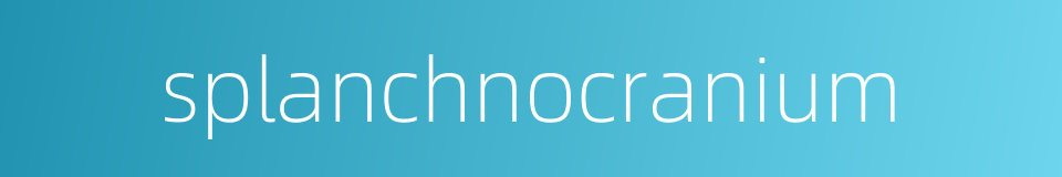 splanchnocranium的同义词
