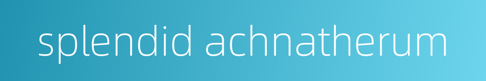 splendid achnatherum的同义词