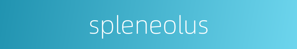 spleneolus的同义词