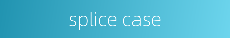 splice case的同义词