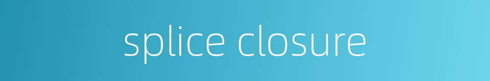 splice closure的同义词