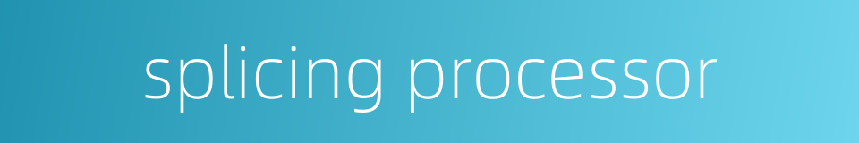 splicing processor的同义词