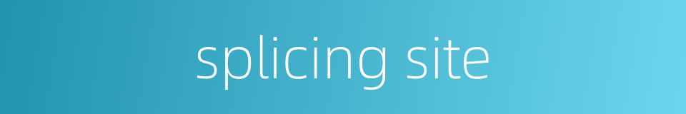 splicing site的同义词
