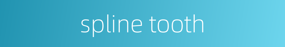 spline tooth的同义词