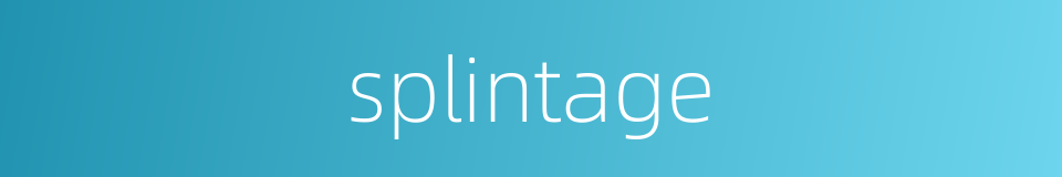 splintage的同义词