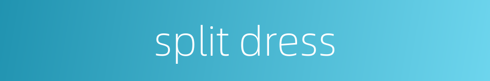 split dress的同义词