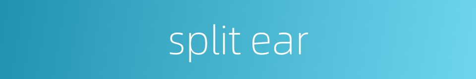 split ear的同义词