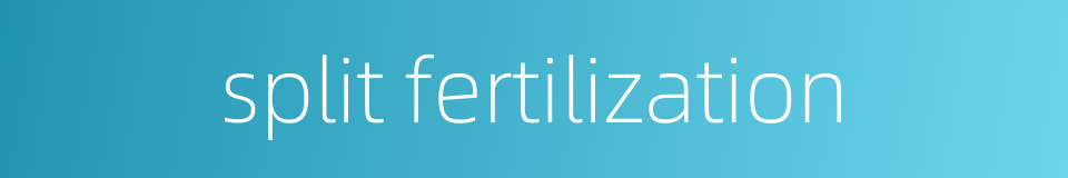 split fertilization的同义词