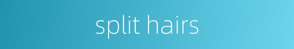 split hairs的同义词