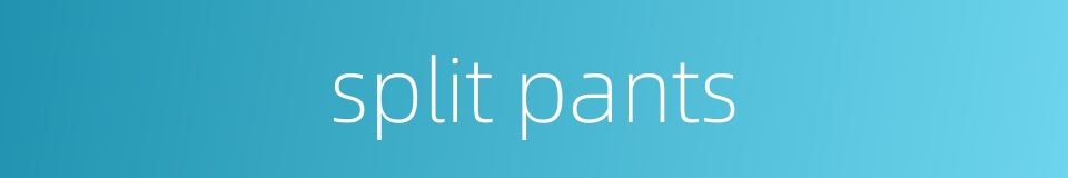 split pants的同义词