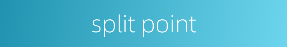 split point的同义词