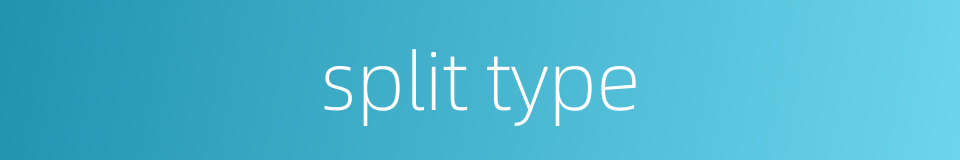 split type的同义词