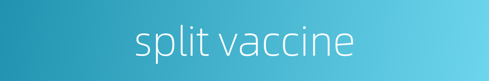 split vaccine的同义词