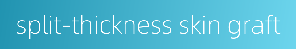 split-thickness skin graft的同义词