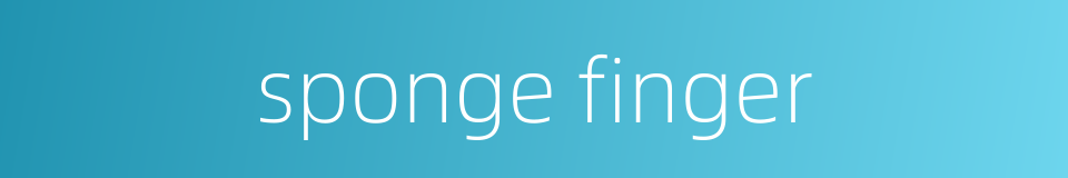 sponge finger的同义词