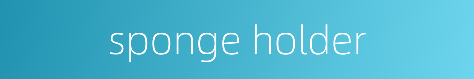 sponge holder的同义词
