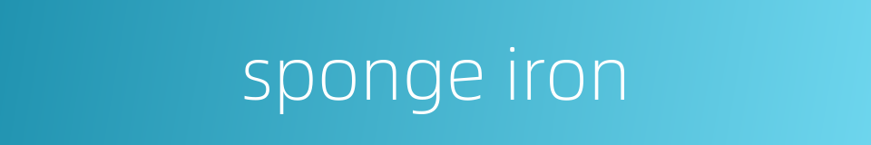 sponge iron的同义词