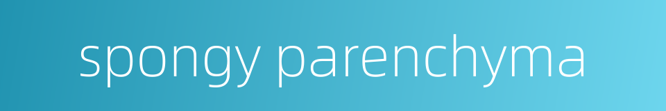 spongy parenchyma的同义词