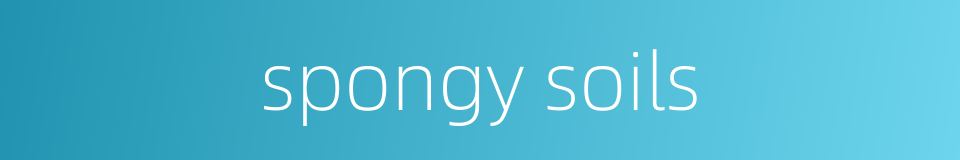spongy soils的同义词