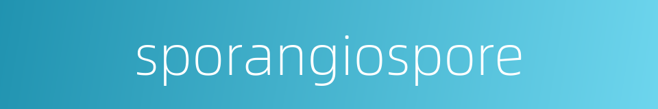 sporangiospore的同义词