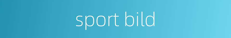 sport bild的同义词