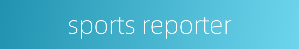 sports reporter的同义词