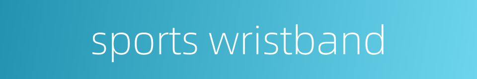 sports wristband的同义词