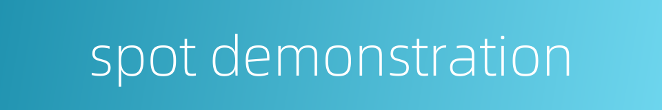 spot demonstration的同义词