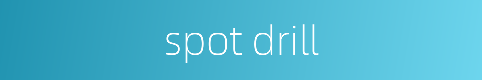 spot drill的同义词