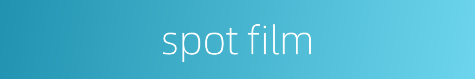 spot film的同义词