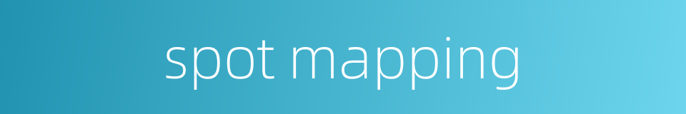 spot mapping的同义词