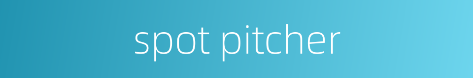 spot pitcher的同义词