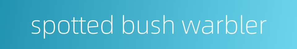 spotted bush warbler的同义词