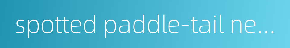 spotted paddle-tail newt的同义词
