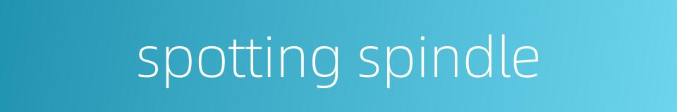 spotting spindle的同义词