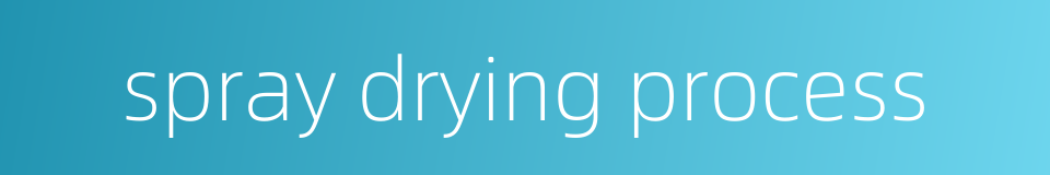 spray drying process的同义词