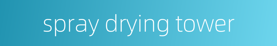 spray drying tower的同义词