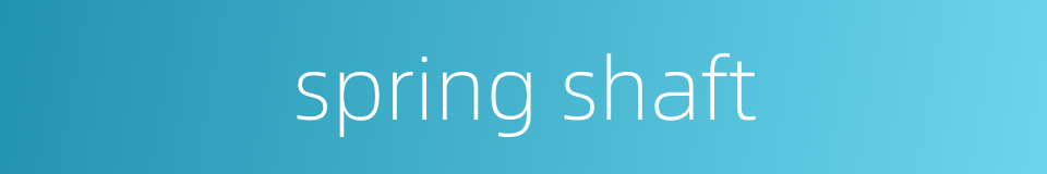 spring shaft的同义词