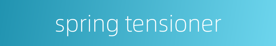 spring tensioner的同义词