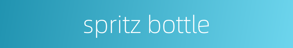 spritz bottle的同义词