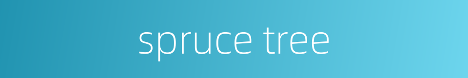 spruce tree的同义词