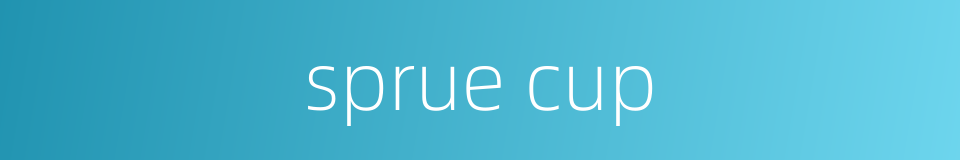 sprue cup的同义词